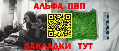 стаф Дубна
