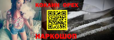 стаф Дубна
