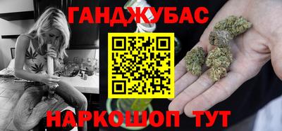 стаф Дубна