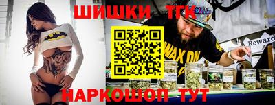стаф Дубна