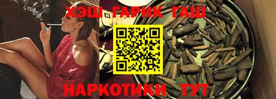 стаф Дубна