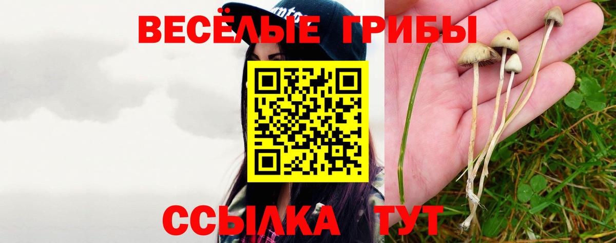 Псилоцибиновые грибы мицелий  Псилоцибиновые грибы прущие грибы  Минеральные Воды  Вход с VPN 